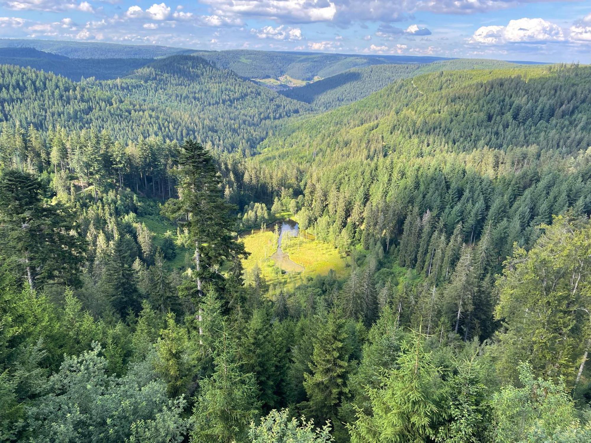 Casa Black Forest - Freudenstadt Kniebis Exteriér fotografie